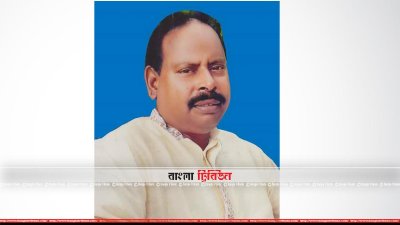 বিএনপি প্রার্থী এনামুল
