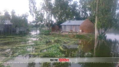 পানি নামছে ধরলা-তিস্তা অববাহিকায় থাকা জনবসতি থেকে (ছবি- প্রতিনিধি)