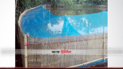 আধুনিক পদ্ধতিতে কাঁকড়া চাষ (ছবি- প্রতিনিধি) 
