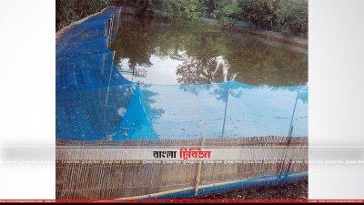 আধুনিক পদ্ধতিতে কাঁকড়া চাষ (ছবি- প্রতিনিধি) 