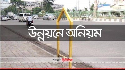 উন্নয়নে অনিয়ম