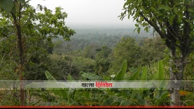 পাড়া-বন 