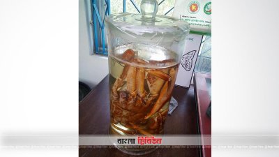 সাতক্ষীরায় দেশি মাছেই ‘আব্দুস সামাদ ফিশ মিউজিয়াম’