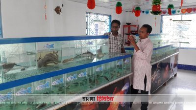 সাতক্ষীরায় দেশি মাছেই ‘আব্দুস সামাদ ফিশ মিউজিয়াম’