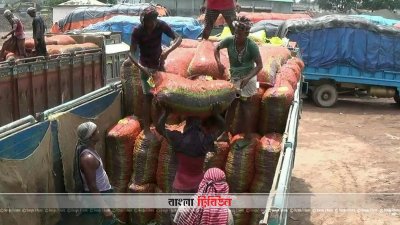 হিলিতে কাঁচা মরিচের দাম কেজিতে ২৫ টাকা কমেছে