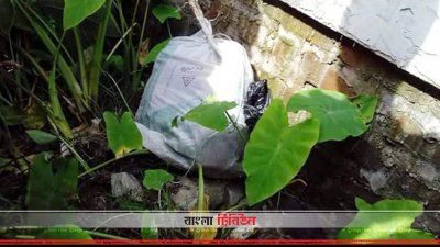 সাফিয়ার বস্তাবন্দি লাশ
