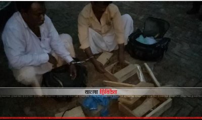 ইয়াবার পর বাক্স থেকে বের করে আনা হচ্ছে সাপ