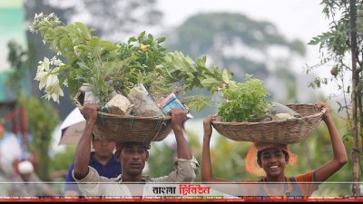 গাছ কিনে যাওয়া হচ্ছে