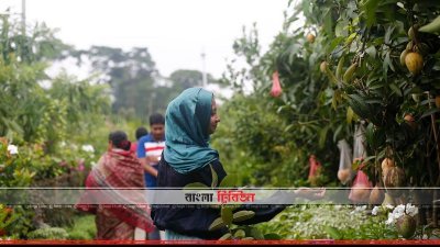 গাছ দেখছেন দর্শনার্থীরা
