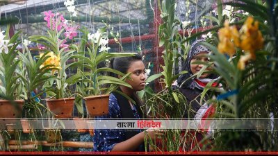 ‘সবুজে বাঁচি সবুজ বাঁচাই’ (ফটো স্টোরি)
