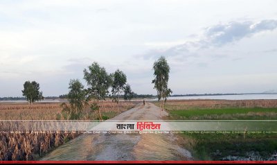 বাঁধ ভেঙে জমিতে পানি ঢুকে নষ্ট হচ্ছে ফসল