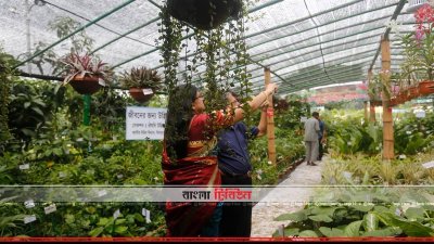 গাছ দেখছেন দর্শনার্থীরা