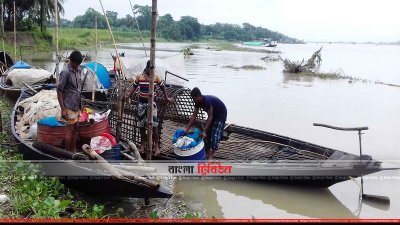 চলছে রেণু পোনা আহরণ