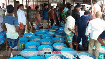 তিন মাস পর কাপ্তাই হ্রদে মাছ ধরা শুরু