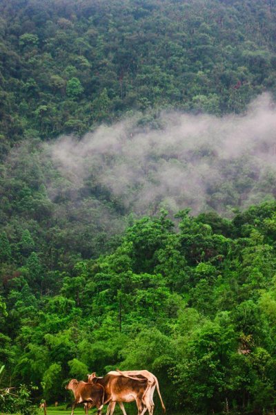 মেঘ-পাহাড়ের যুগলবন্দি