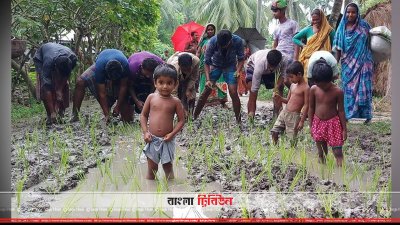 রাস্তায় ধান লাগিয়ে প্রতিবাদ