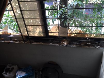 হামলার পর বদিউল আলম মজুমদারের বাসা