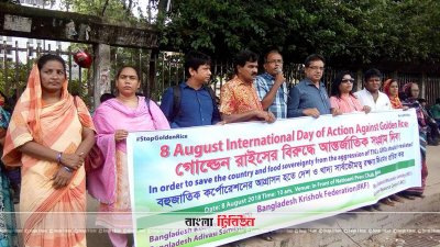 ‘গোল্ডেন রাইস চাষ হলে দেশের কৃষিখাত ধ্বংস হবে’