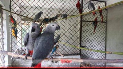 ২৭২টি বন্যপ্রাণী সাফারি পার্কে হস্তান্তর