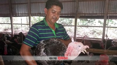টার্কি পালনে ঘুরে দাঁড়িয়েছে সোহরাবের ভাগ্যের চাকা