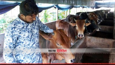 মো. জাহিদুল ইসলাম জাহিদের খামার
