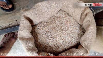 বনপাড়া সরকারি গোডাউনে ভিজিএফের পচা চাল