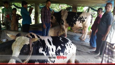 খামারে লাল্টু ও বল্টু