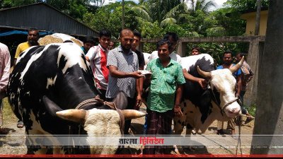 লাল্টু ও বল্টুকে কিনে নিয়েছেন চেয়ারম্যান