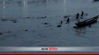 নারায়ণগঞ্জে গরুবাহী ট্রলারডুবি
