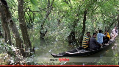 পর্যটকরা ঘুরে বেড়াচ্ছেন সিলেটের রাতারগুল (1)