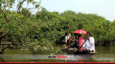 পর্যটকরা ঘুরে বেড়াচ্ছেন সিলেটের রাতারগুল (2)