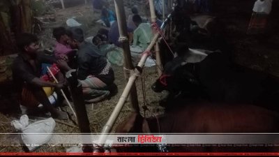 অবিক্রিত গরু নিয়ে হতাশ ব্যবসায়ীরা
