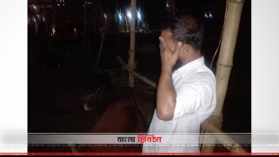গরু বিক্রি করতে না পেরে কাঁদছেন ইউনুস আলী