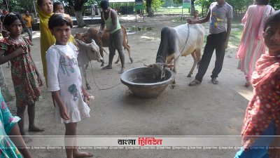 বালিয়াডাঙ্গী উপজেলার শুটকা বস্তি গ্রামের আলোকিত সীমান্ত প্রকল্প 