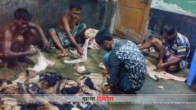 বরিশালের একটি চামড়া পট্টি 