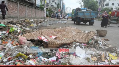 ‘বর্জ্যমুক্ত’ ডিএনসিসিতে বর্জ্যের ভাগাড়!