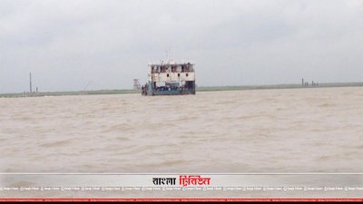 মাঝ পদ্মায় নোঙর করে থাকা ফেরি