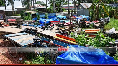জব্দ করা বিভিন্ন যানবাহন 