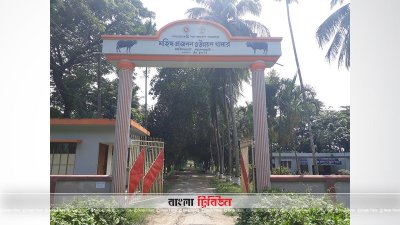 সরকারি মহিষ প্রজনন খামার