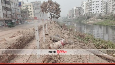 ডিএনসিসির গাছ বিক্রির টাকা ঠিকাদার-কর্মকর্তাদের পকেটে!