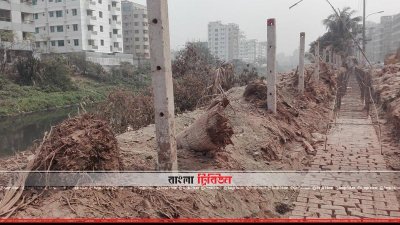 ডিএনসিসির গাছ বিক্রির টাকা ঠিকাদার-কর্মকর্তাদের পকেটে!