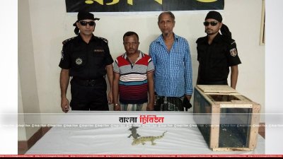 গ্রেফতার দুই তক্ষক পাচারকারী
