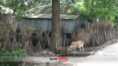 গোপালগঞ্জের ফুকরা গ্রাম (ছবি- প্রতিনিধি)
