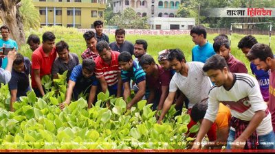 খেলার মাঠের আগাছা পরিষ্কার করলেন ছাত্রলীগ নেতাকর্মীরা