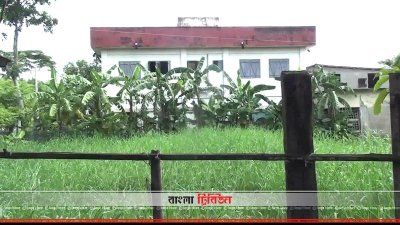 মাদ্রাসার মাঠ দখল করে ঘাস চাষ