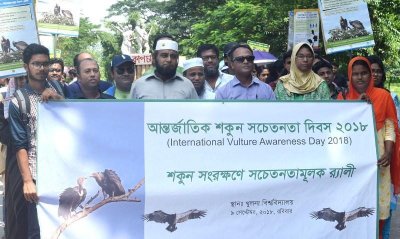 দেশে শকুন কমে যাওয়ায় জনস্বাস্থ্য প্রভাবিত হচ্ছে