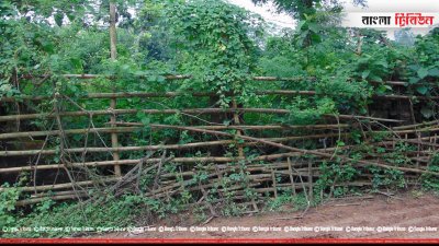 মাতাজী হাট খাদ্য গুদামের পেছনের অংশ এভাবেই অস্থায়ী বেড়া দিয়ে ঘেরা