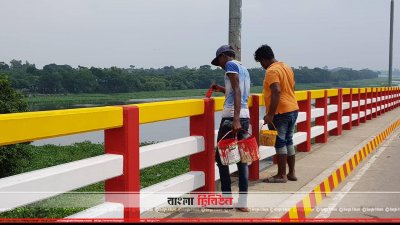 ওয়াই আকৃতির শেখ হাসিনা তিতাস সেতু