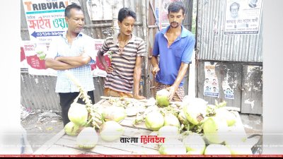 প্রচণ্ড গরমে ডাবের পানি দিয়ে তৃষ্ণা মেটানোর চেষ্টা করা হচ্ছে