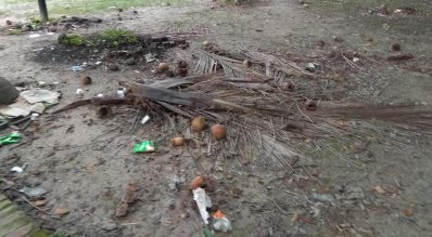 ৪২ বছরের পুরনো রাজশাহী চিড়িয়াখানা এখন যেমন